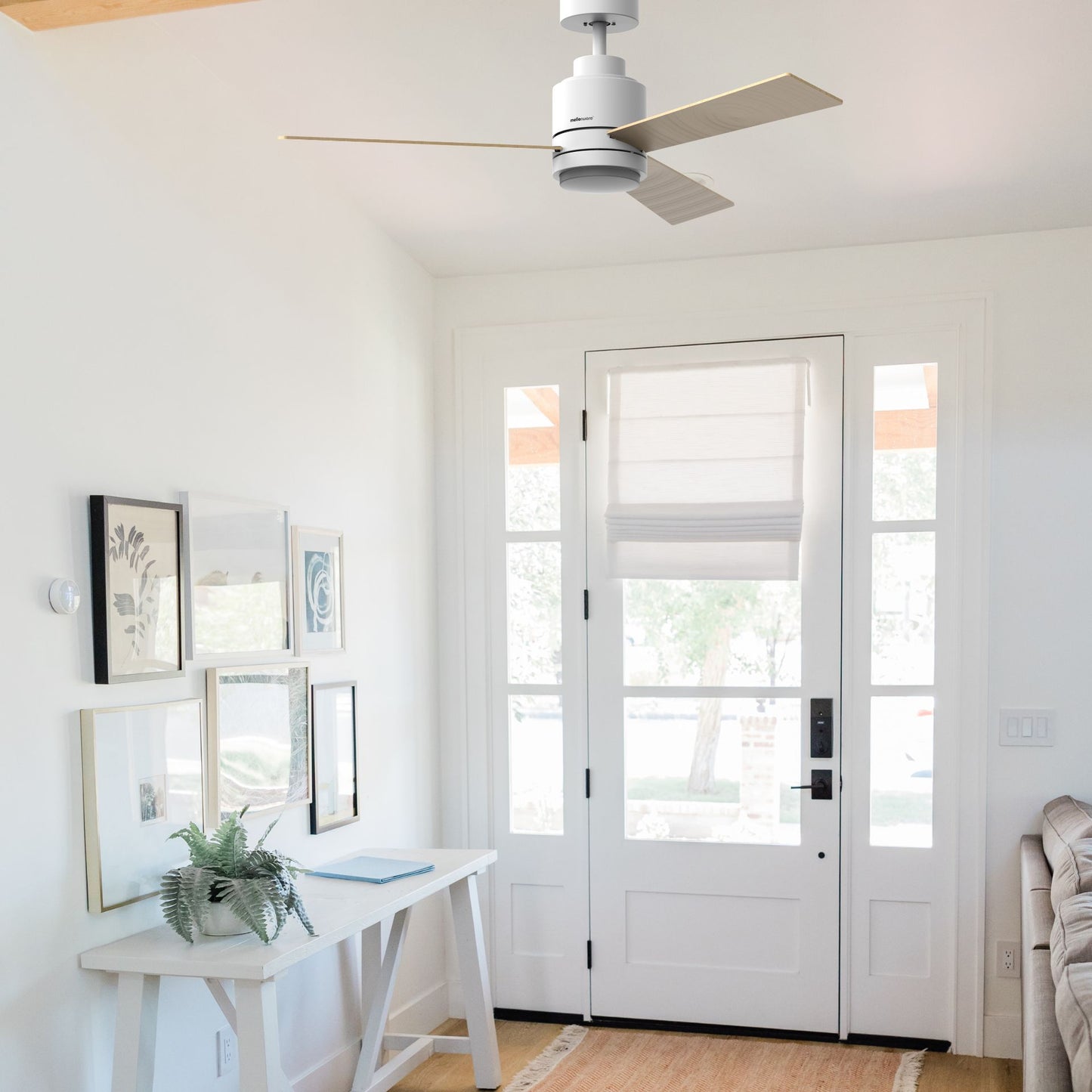 Brizy Bright Core - FP