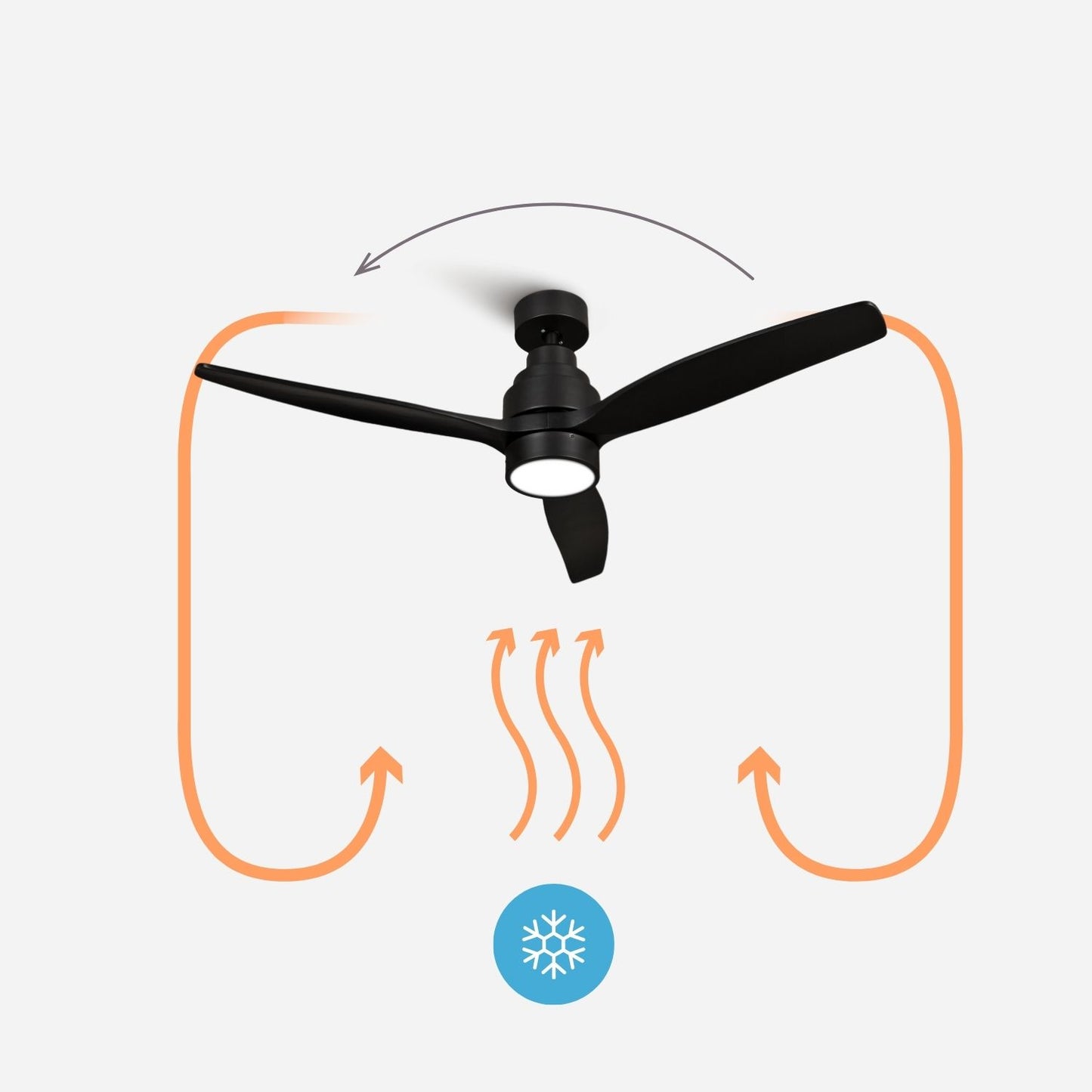 Brizy Bright Black - FP