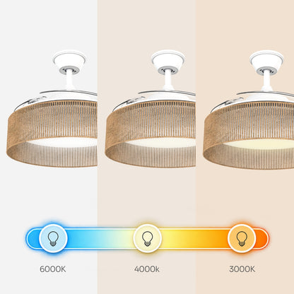 Brizy Bright Rattan