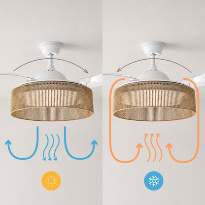 Brizy Bright Rattan