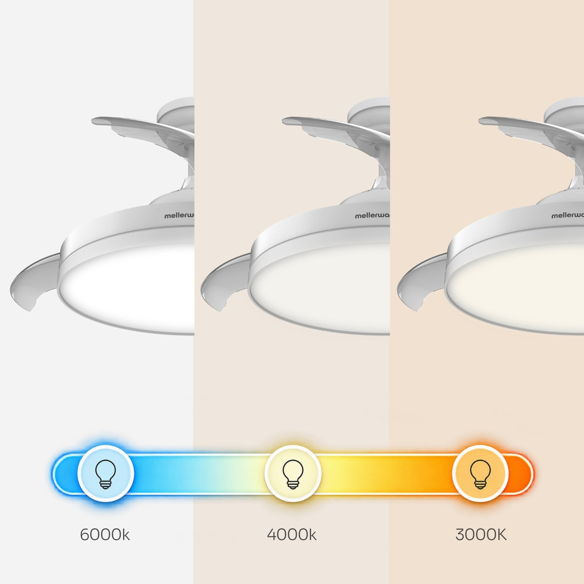 Brizy Bright Foldable