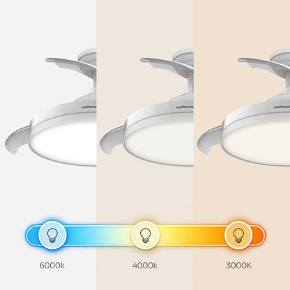 Brizy Bright Foldable