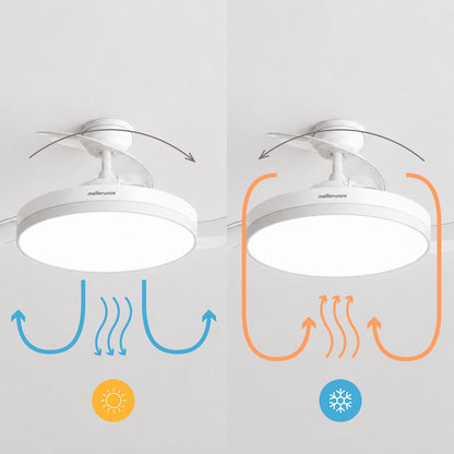 Brizy Bright Foldable