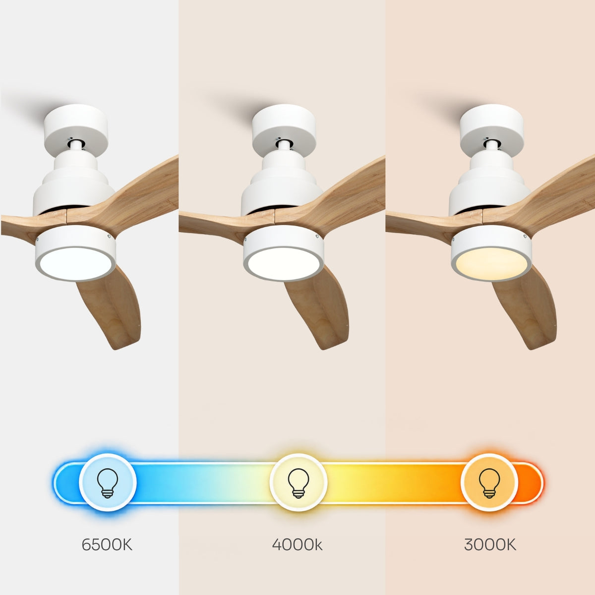 Brizy Bright Light Wood