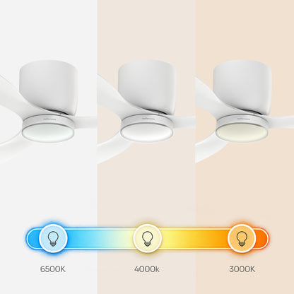 Brizy Bright Minimal