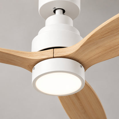 Brizy Bright Light Wood