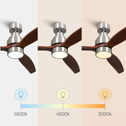 Brizy Bright Dark Wood