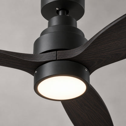 Brizy Bright Black