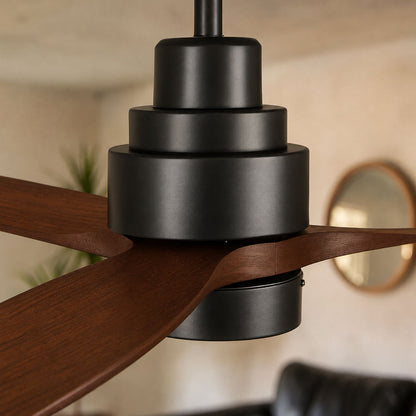 Brizy Bright Dark Wood
