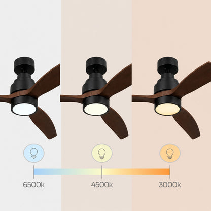 Brizy Bright Dark Wood