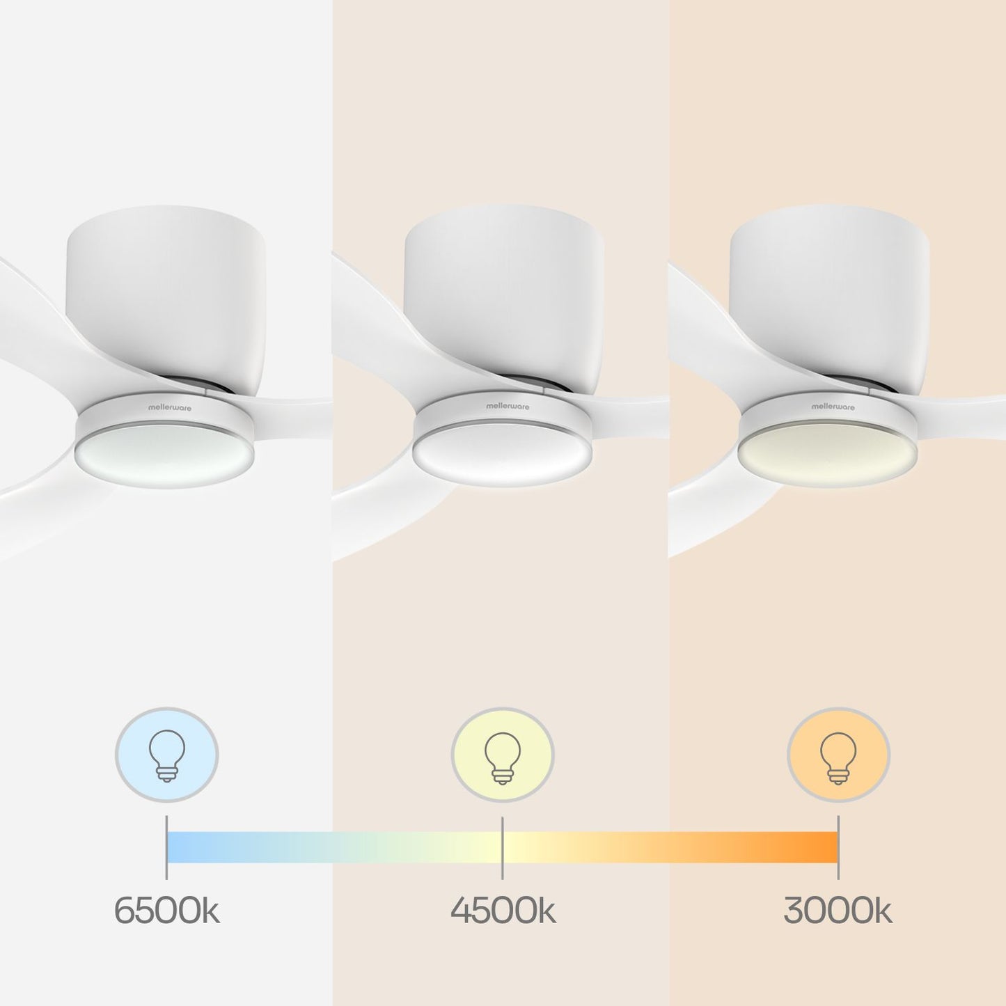 Brizy Bright Minimal