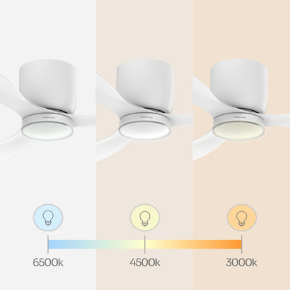 Brizy Bright Minimal