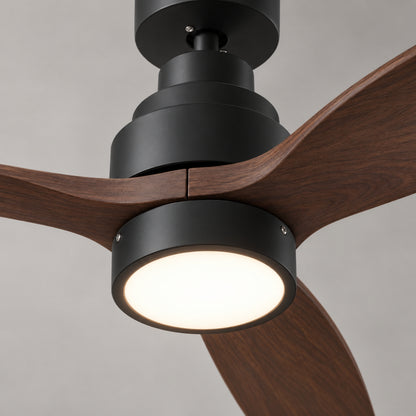 Brizy Bright Dark Wood