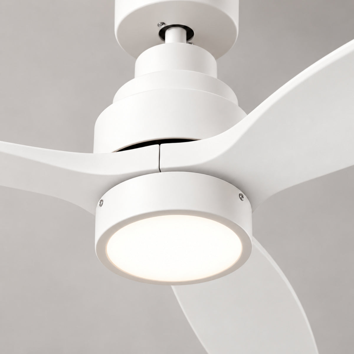 Brizy Bright White