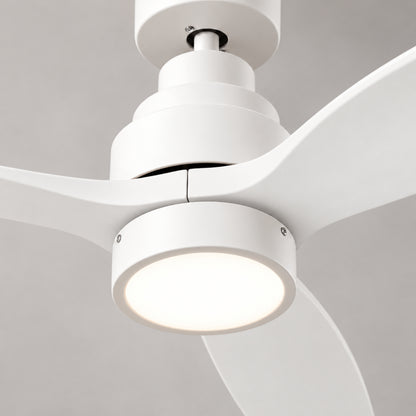 Brizy Bright White
