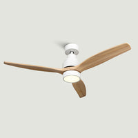 24h flash collection, Applicable Discount, Back to school, best sellers, Black Friday, Black Friday 2023, Ceiling fans, CLIMATIZACIÓN REBAJAS ENERO  2024, CYBER MONDAY 2023, last units, Master the cooling, Sale, SPRING SALES, Ventilation, Brizy Ceiling Fan! Bright