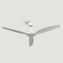 Ventilatore da soffitto Brizy