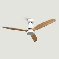 24h flash collection, Applicable Discount, Back to school, Black Friday, Black Friday 2022, Ceiling fans, last units, Master the cooling, Sale, Ventilation, Brizy Ceiling Fan! Bright